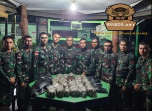 TNI Kembali Gagalkan Penyeludupan Ganja di Perbatasan RI-PNG