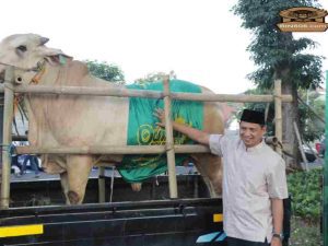 Momentum Idul Adha 2024, Polres Metro Tangerang Kota Salurkan Puluhan Hewan Sapi dan Kambing