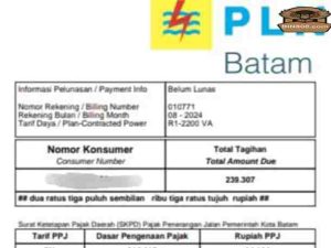 Pakai Listrik 66 kWh Sebulan, Tagihan Capai Rp 239.307. Andri : PLN Batam Harus Peka Kebutuhan Listrik Masyarakat
