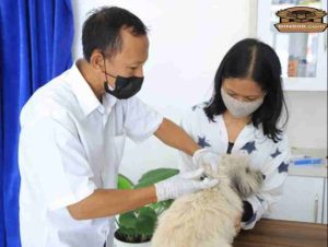 Puskeswan Kota Tangerang Layani Kastrasi hingga Pengobatan Gratis ke 6.167 Hewan Peliharaan Sepanjang 2024