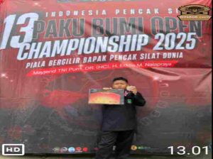 Salman, siswa SDN Benda Baru 01 Tangerang Selatan, berhasil meraih juara dua katagori pencak silat