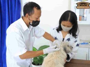 Sambut HUT Ke-32, Pemkot Tangerang Buka Layanan Pekan Steril Anabul Secara Gratis