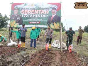 Kapolres Metro Tangerang Realisasi Asta Cita Presiden Prabowo, Penanaman 1 Hektare Jagung