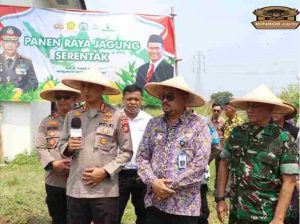 Dukung Program Ketahanan Pangan, Kapolres Metro Tangerang Panen Raya Jagung Serentak Sebanyak 2,5 Ton