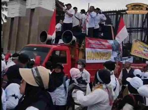 Aliansi Honorer R2-R3 Bergerak: Banten dan Daerah Lain Siap Warnai Istana dengan Aksi Damai