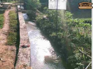 KADES Mekarsari Bangun Saluran Irigasi Tersier Guna Kesejahteraan Petani Dusun Cicurug