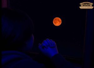 Bulan Merah Darah Temani Perjalanan Bus Bandung–Karawang Timur