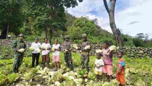 Panen Hasil Kebun Satgas Yonif 521/DY Bersama Masyarakat di Distrik Kurima